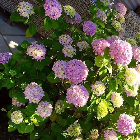 Luxurious Seaside Sithonia Halkidiki Case de vacanță